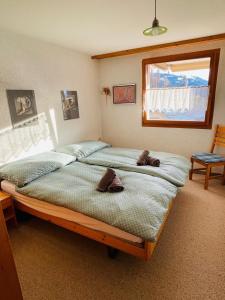 Cozy Apartment in Falera with view & ski access