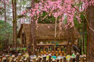 Phố Mây Homestay-Măng Đen