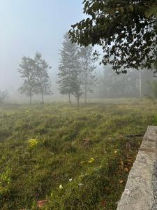 Sky Holiday Inn Cottages Madikeri Kushalnagar Coorg