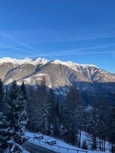 Appartamento panoramico con vista sulle montagne e accesso diretto alle piste