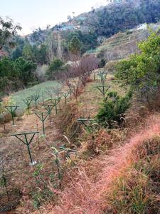 Arameh-A Boutique Orchard Retreat Near Kasauli