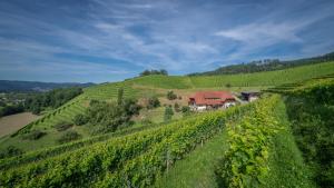 Winzerhof Armbruster