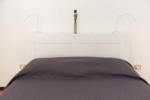 Venice Biennale Garibaldi