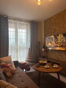 Apartament Ski and Chill