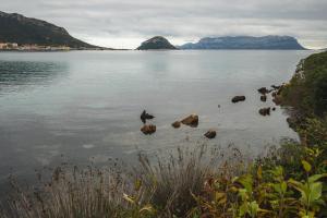 Appartamento Baia Caddinas fronte mare img29