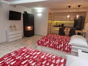 APARTAMENT Z KOMINKIEM Z WIDOKIEM na Jezioro Czorsztyńskie