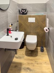 Horské apartmány Stříbrnice