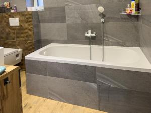 Horské apartmány Stříbrnice