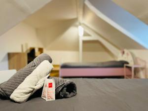 Havre de paix à Rouen duplex lumineux avec vue - 415