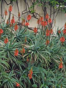 Puerto Banus Marbella Large Duplex 3BE 4BA