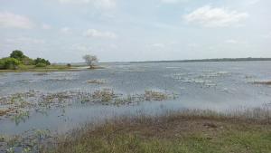 Lake Breeze Family Resort