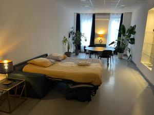 Loft 200m2 avec écran led géant de 10m2