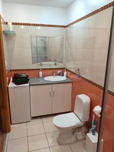 Apartaments - Liepu iela