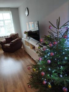 Apartaments - Liepu iela