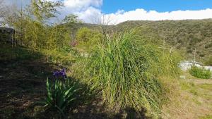 Maison entre mer et montagne