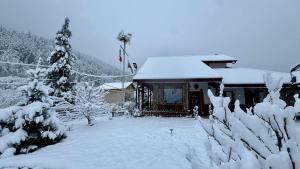 Dolphin Residence Bulgaria