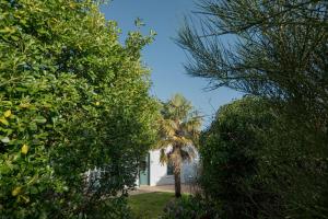 Charmante maison bretonne Vue imprenable sur la mer Jardin et grand terrain