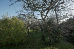 Charmante maison bretonne Vue imprenable sur la mer Jardin et grand terrain 10min de la plage à pied