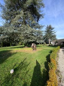 A timeless manor of discreet luxury and absolute privacy