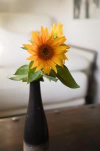 Agroturystyka Kaszmir Janów Podlaski