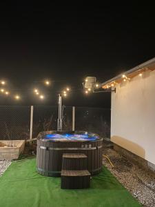 Cabana Tudor & Stefan