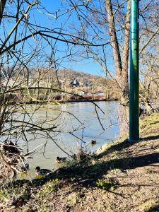Lovely House close to river and nature for 2