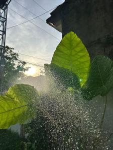 Captains Home Phong Nha