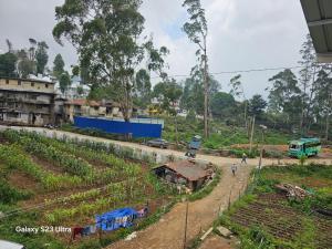 Msk indian Residency