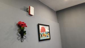 Msk indian Residency