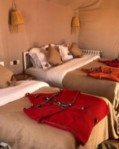Sahara Luxe Camp