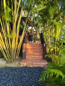 Purple House - Female only Boutique hostel