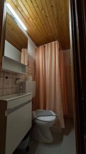 Hotel Acropolis Metsovo