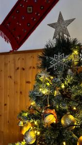 Hotel Acropolis Metsovo