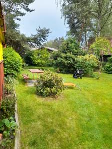 Chata Doksy Máchovo jezero