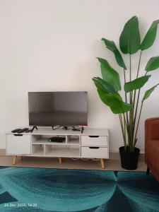 Halia Homestay
