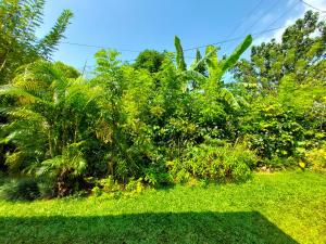 Golden Breeze Villa Bentota