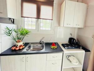 Pedro Navarino 5-7 Laganas