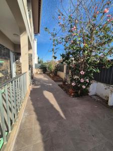 Flat near Serra da Arrábida, beaches and Lisbon