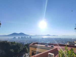 Maioliche e Porcellane