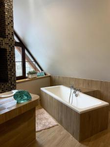 Modern mountain home with a view of nature