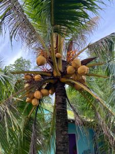 Homestay Hải Nam Đất Mũi