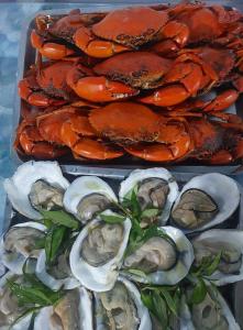 Homestay Hải Nam Đất Mũi