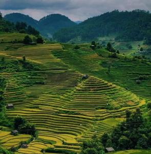 La Pan Tan Eco Lodge - Mu Cang Chai