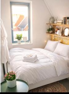 Canal House - Homestay