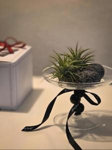 레코드서울 Re,cord Seoul 사당이수점