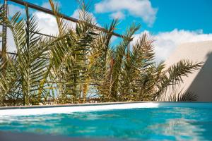Designer Luxury Penthouse with Private Pool & BBQ