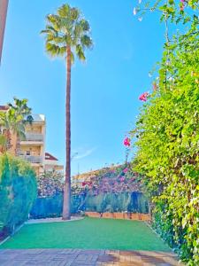 apartamento Villamar planta baja