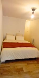 Centre Historique de Nantes - Grand T2 de 52 m - 4 personnes