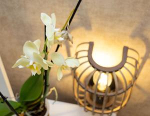 Citrus Residence, Serene Lemon Blossom Villa