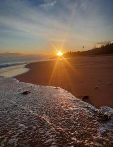 Waves ranna cabana and seafood